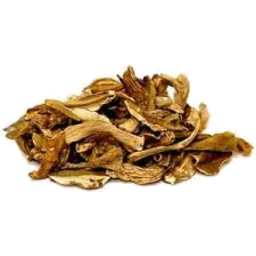 Photo of Mushrooms - Porcini