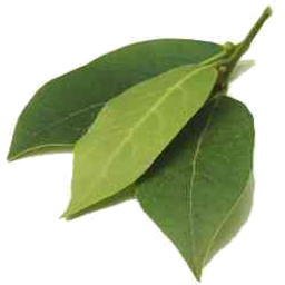 Photo of Herbs Bay Leaves 10g