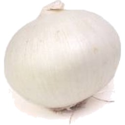 Photo of Onions White