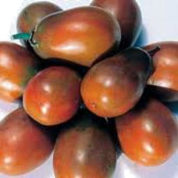 Photo of Tomatoes Black Russian