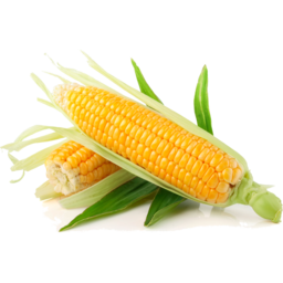 Photo of Corn 2for$5 Conv.