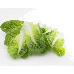 Photo of Lettuce - Caesar Cos Leaves