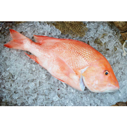 Photo of Whole Fresh Local Red Emperor Kg