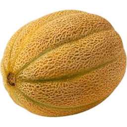 Photo of Cantaloupe 