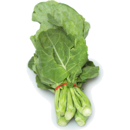 Photo of Broccoli - Chinese