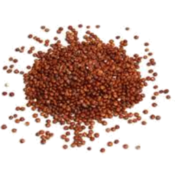Photo of Quinoa Grain (Red)