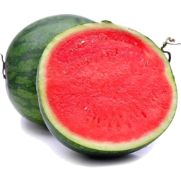 Photo of Watermelon Seedless Organic