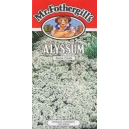 Photo of Alyssum Aphrodite 1pk