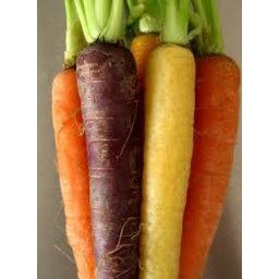 Photo of Carrots Rainbow - Per Bunch
