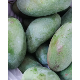 Photo of Green Mango-Sweet Per Kg