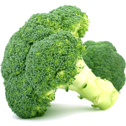 Photo of Broccoli Organic