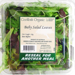 Photo of Organic Baby Salad Leaves 120g