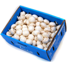 Photo of Box Mushrooms Button