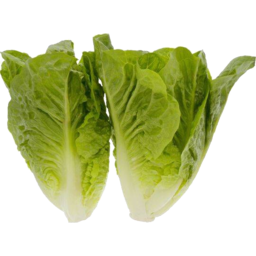 Photo of Baby Cos Lettuce 2 Pack