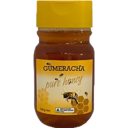 Photo of Gumeracha Pure Honey Squeeze 500g