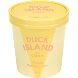 Photo of Duck Island Ice Cream Pecan Butterscotch