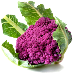 Photo of Cauliflower Purple Orange Org.