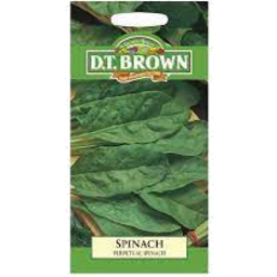 Photo of Dtb Seeds Spinach Beet Perpetual