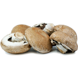 Photo of Mushrooms Portabello