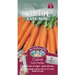 Photo of Seed Carrot Baby Pak C