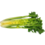 Photo of Celery Cut Half Ea