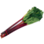 Photo of Rhubarb