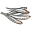 Photo of Anchovies