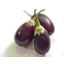 Photo of Baby Eggplant Pack
