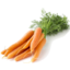 Photo of Spring Carrots Bunch