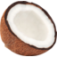 Photo of Coconut Half