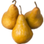 Photo of Pears Beurre De Jumet Kg