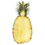 Photo of Pineapple Half Conv