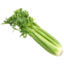 Photo of Celery Whole Each