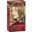 Photo of Revlon Color Silk Hair Colour 60 Dark Ash Blonde