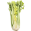 Photo of Celery (Half)