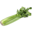 Photo of Celery Bunch Organic Whole