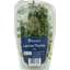 Photo of Herbs Pp Lemon Thyme