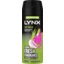 Photo of Lynx Body Spray Grapefruit & Pineapple Scent