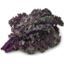 Photo of Kale - Curly Purple