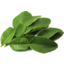 Photo of Lime Leaves