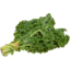 Photo of Kale Green 