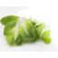 Photo of Cos Lettuce Leaves Loose