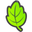Photo of Air Freshener Leaf