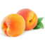 Photo of Peach Clingstone Kg