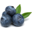 Photo of Blueberries Punnet