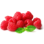 Photo of Raspberries Hallie Berry Punnet