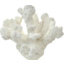 Photo of White Poly Tube Coral 19x14x16cm 