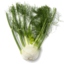 Photo of Fennel - Bunched