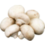 Photo of Mushrooms