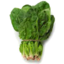Photo of Spinach -Bunch Bunch